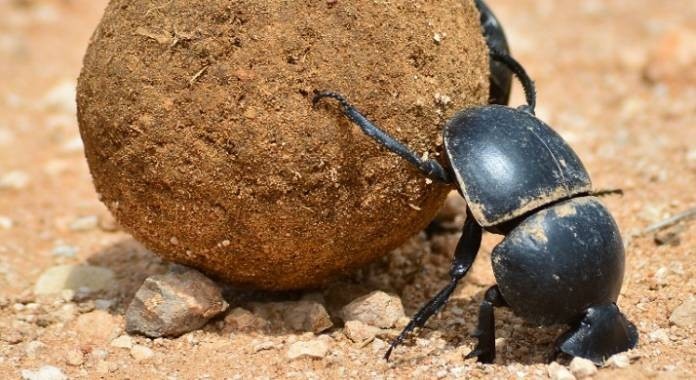 755d05ca-8b84-4302-8d0b-04e78cec5eb1