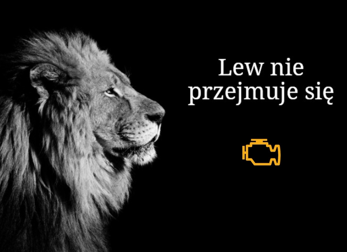 3c570a76-6ac4-48f6-a6f0-7abc5fbee4fa