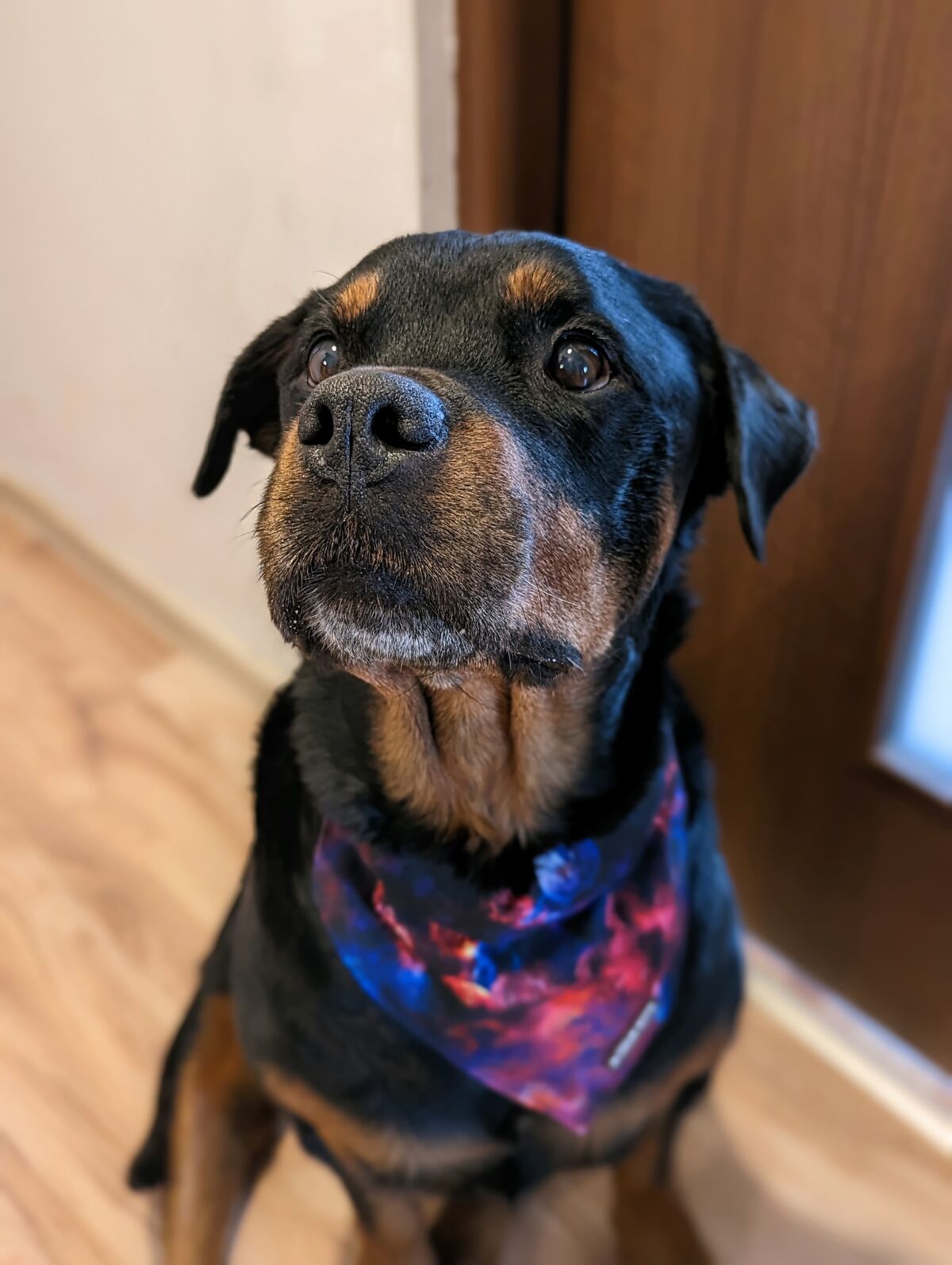 80c9f3c4-5a1a-41c9-baf3-3a8acb402b78