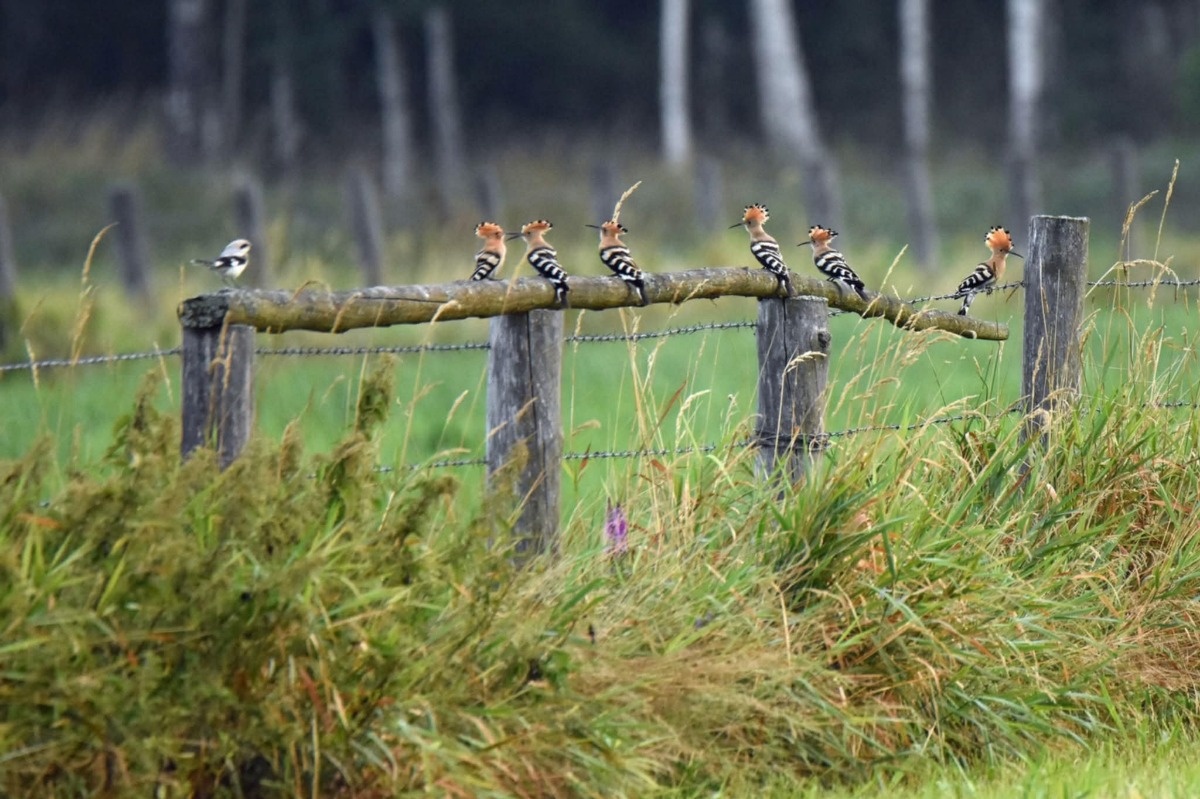 80520292-ac2e-4dbe-8d72-ec834dc6a27c