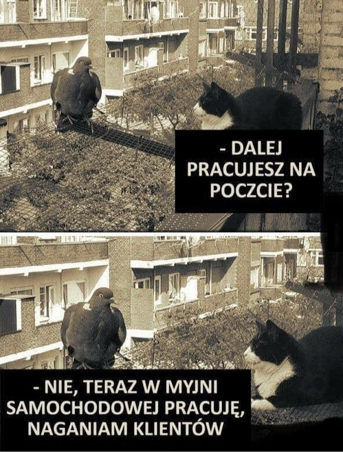 756d1b29-0211-4e0a-9189-f882f7514a38