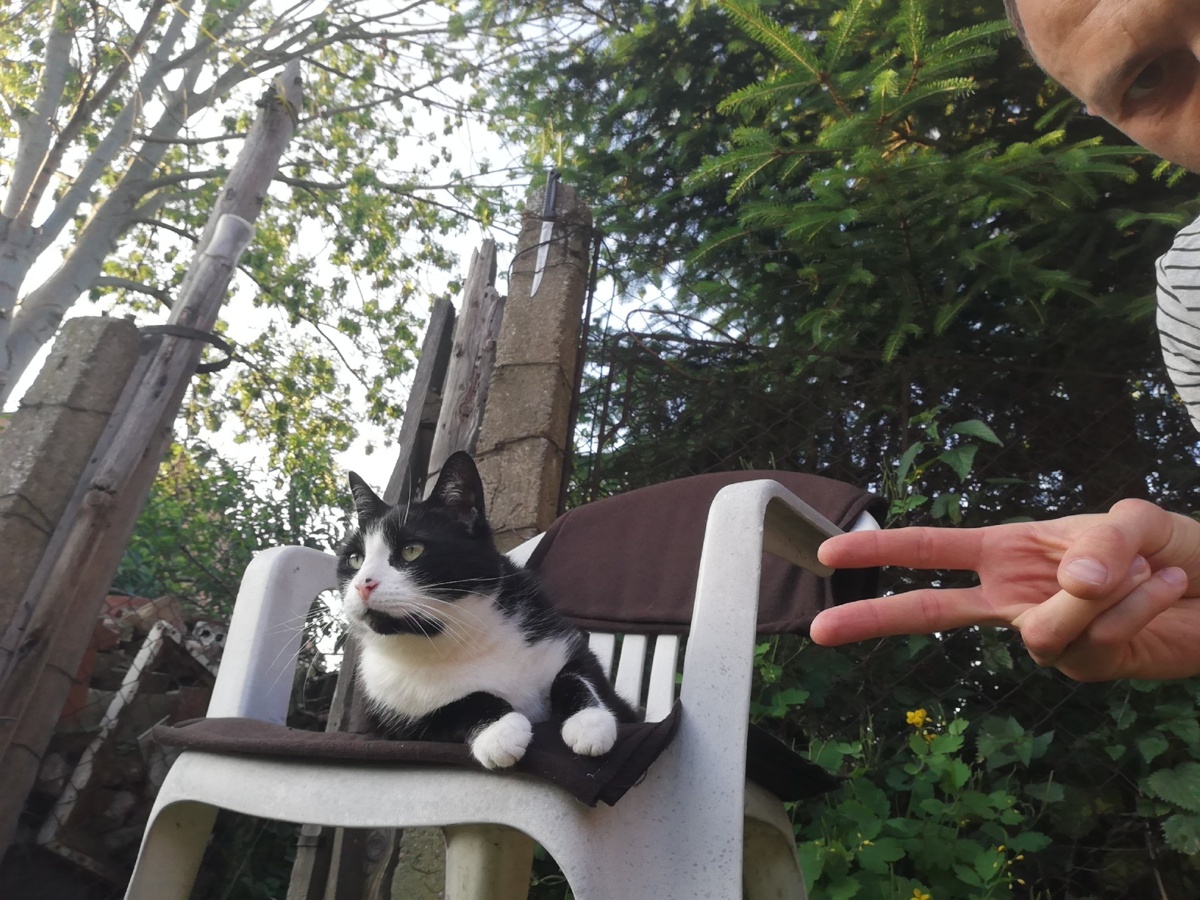 821ac5e4-b067-4688-a842-c5deec326108