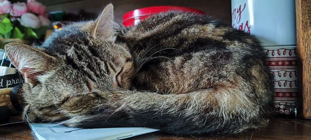 fd3c50e7-f6ff-4be8-90f2-c624fb9a7d88