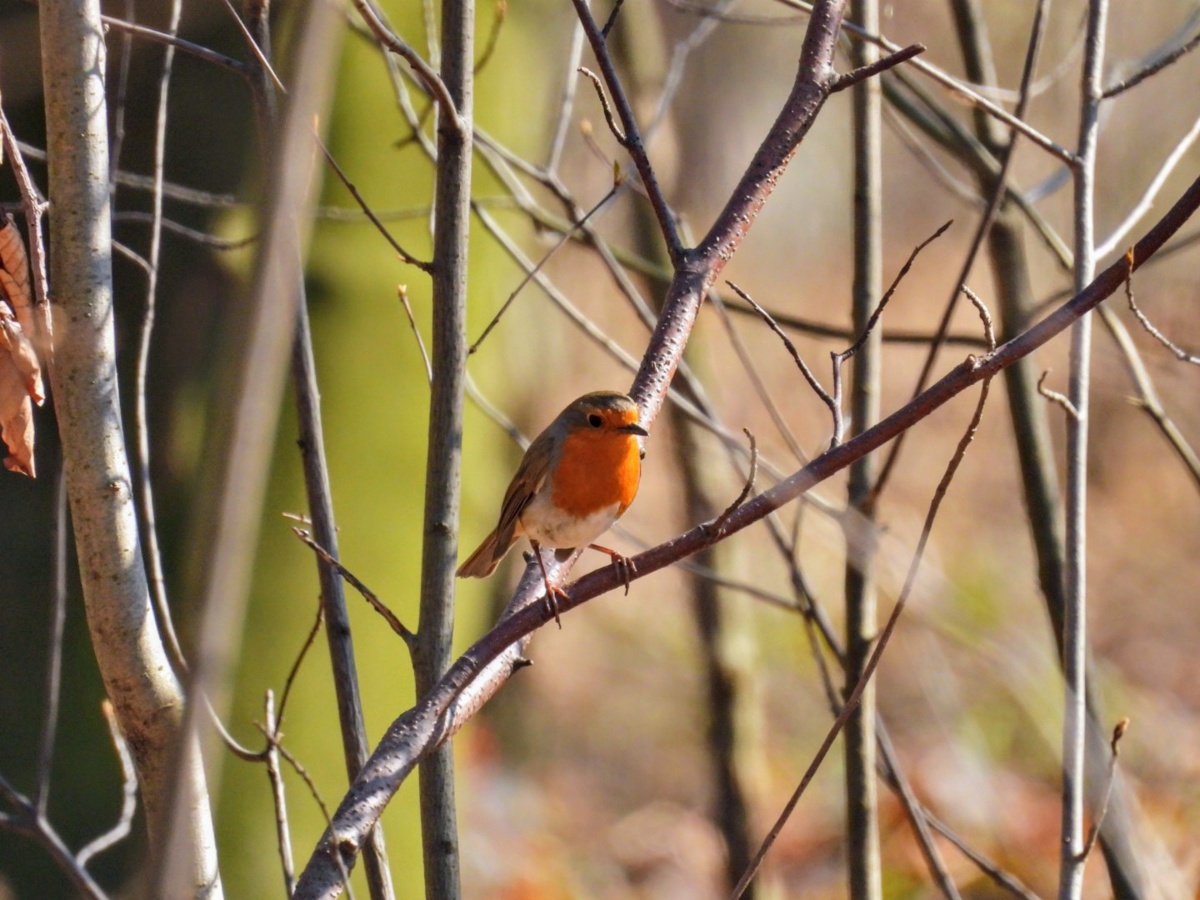 d440d322-0f20-4544-8b1a-a4ed5ed07bd3