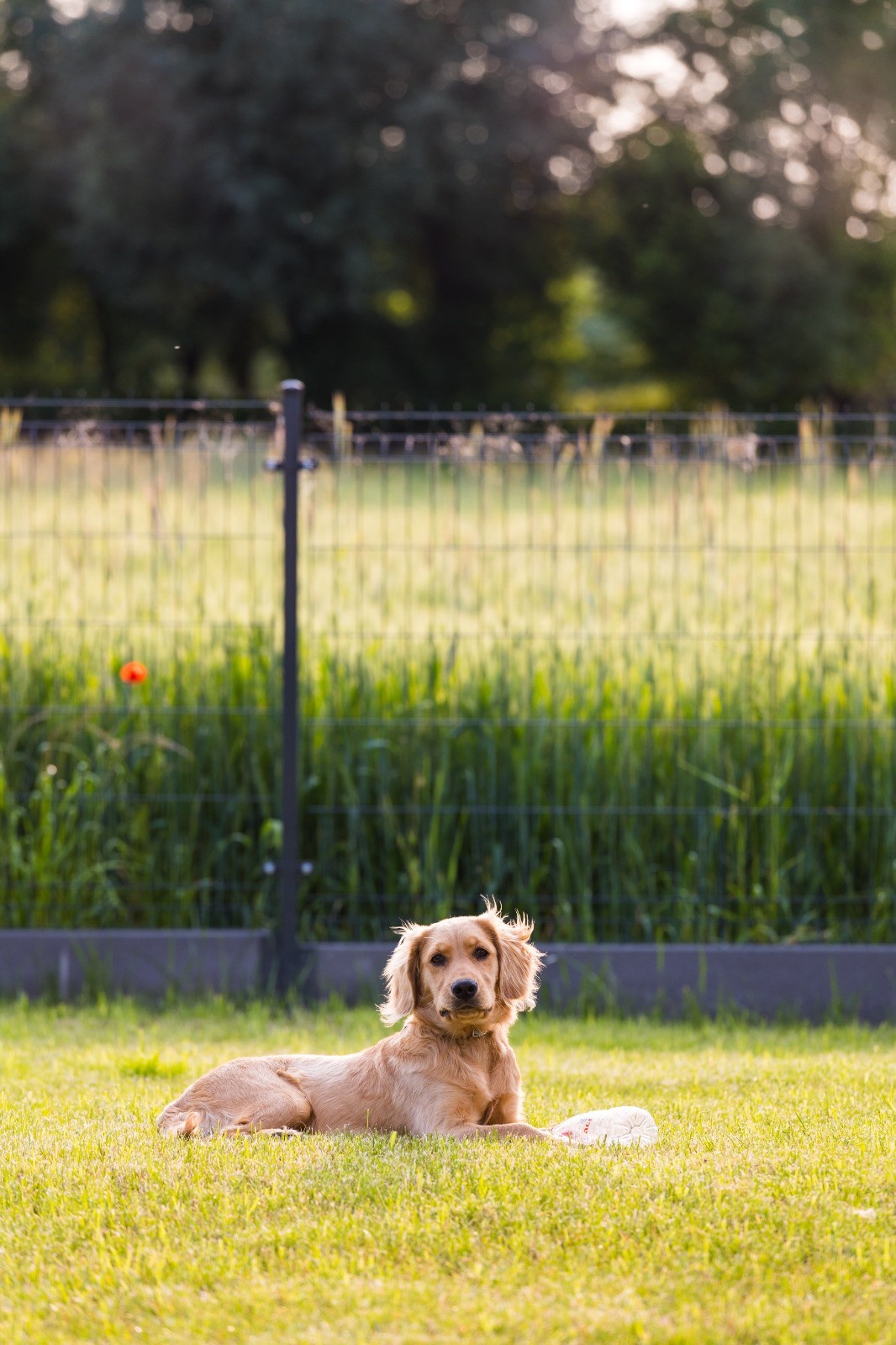 407311cc-11c6-4c44-a3f7-590231ced5d6