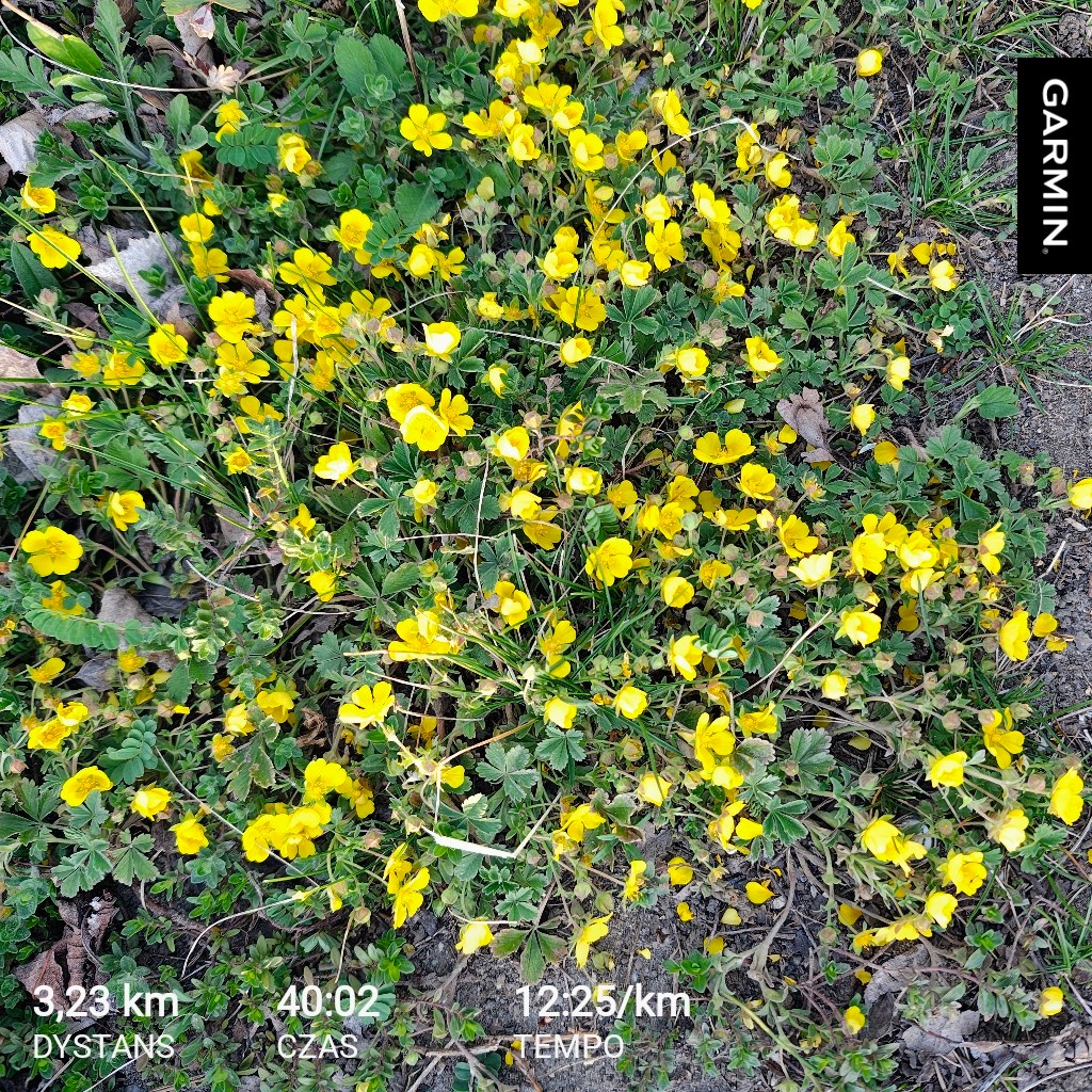 c11bd541-0b6f-4606-9090-0c2cb9d8cd54