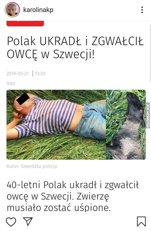 db8d104d-51d4-4dac-96f0-1ffb5d8062fe