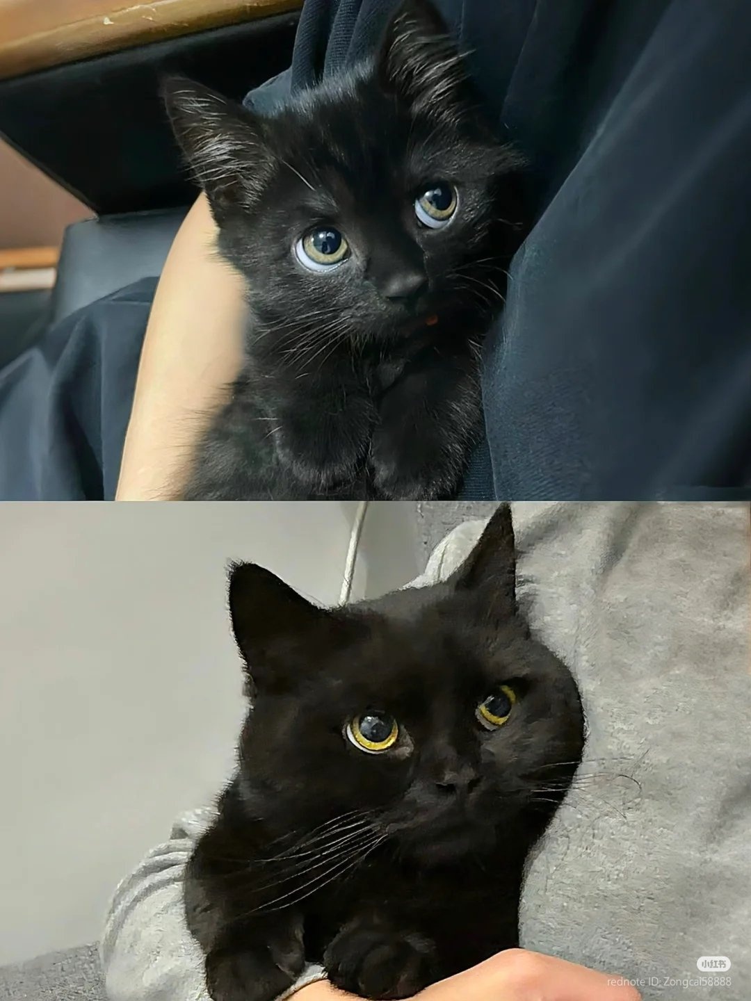 fd5191df-b39e-4743-98ab-552f055ba9e8