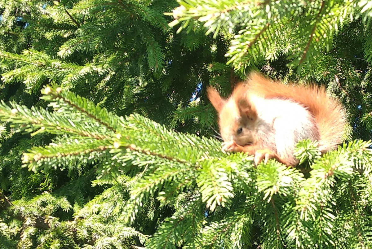 9b2f1e3a-0d56-4227-ac93-df051559ef33