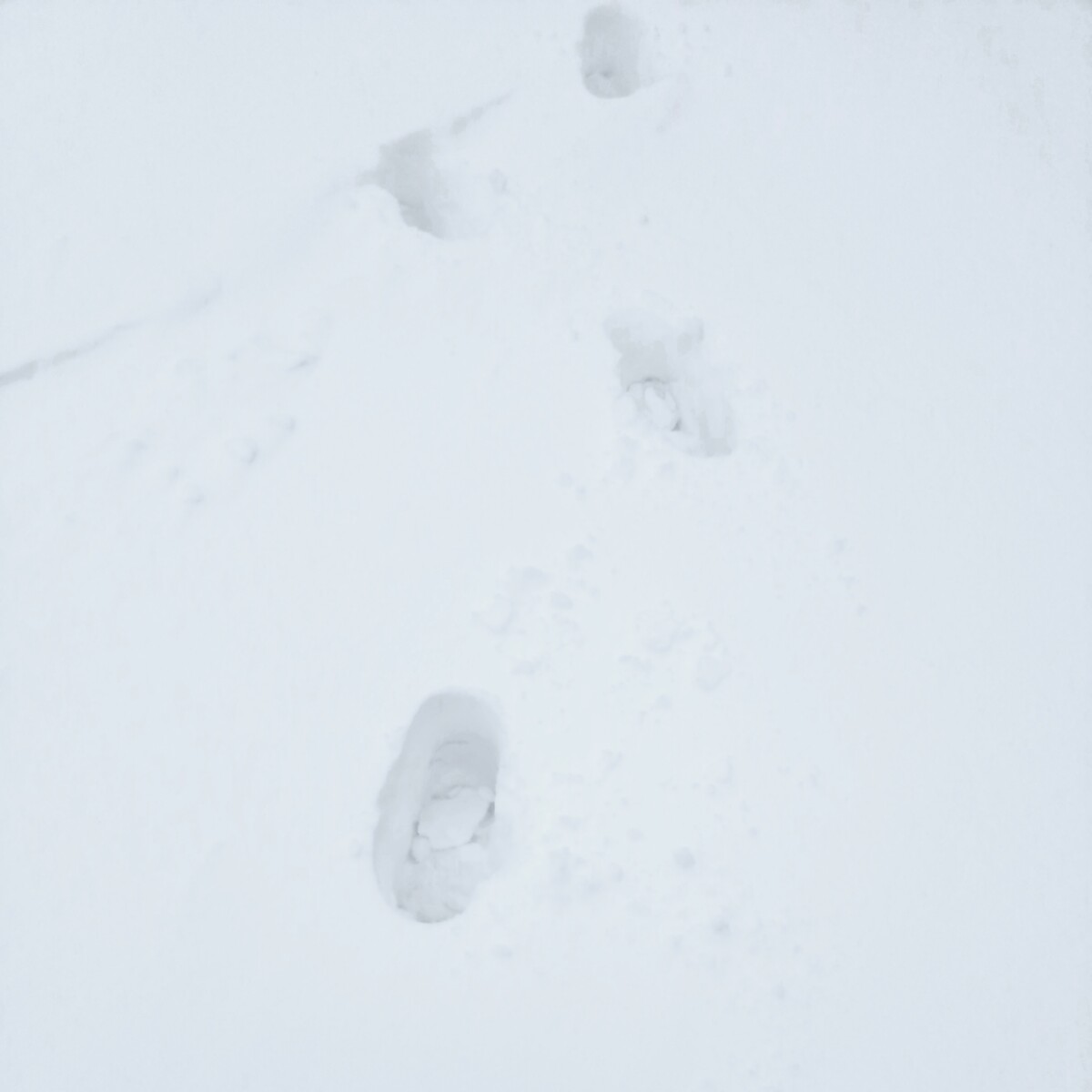 6e2b0559-09dd-4ec9-a160-8a1a40946291