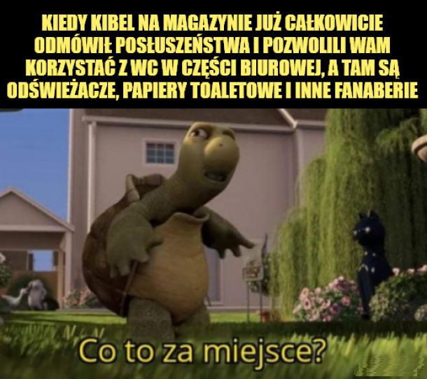 35c0509e-5513-4a6a-981c-5a612596a383