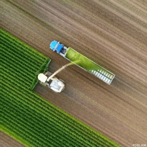 3c7ef317-8830-4533-b239-5da7e03e81c2