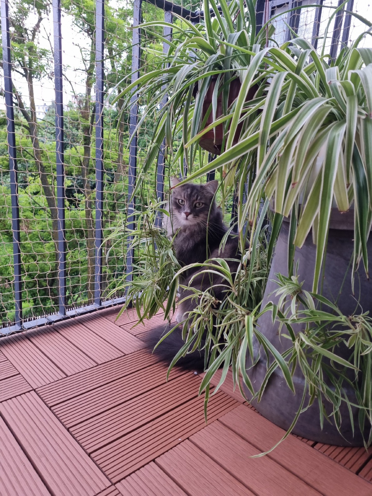 1c881725-5715-44ea-a5cf-27f99f56e6b6