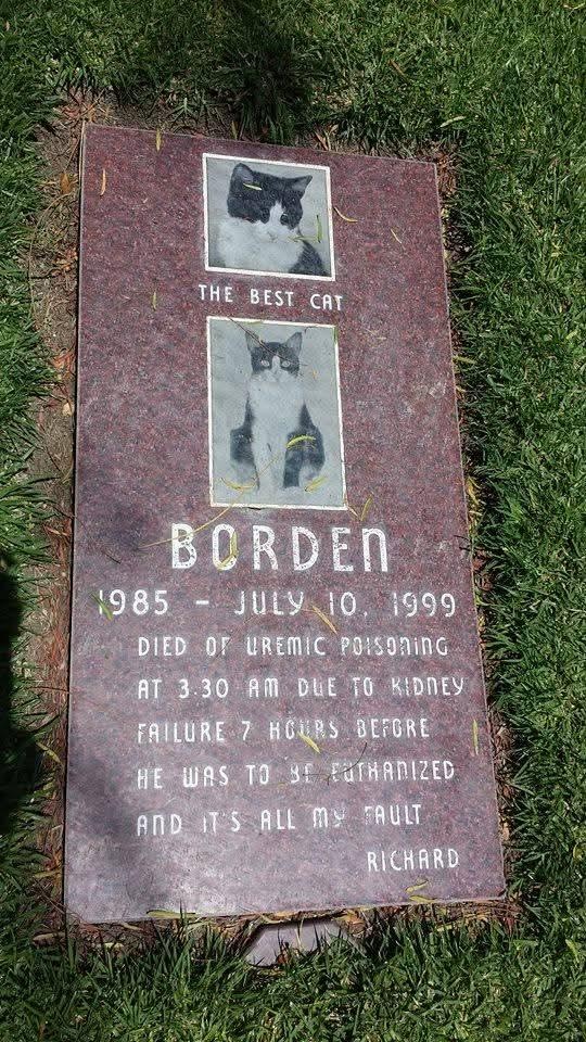 694659fc-f6da-46ce-bc3e-67743f968bc0