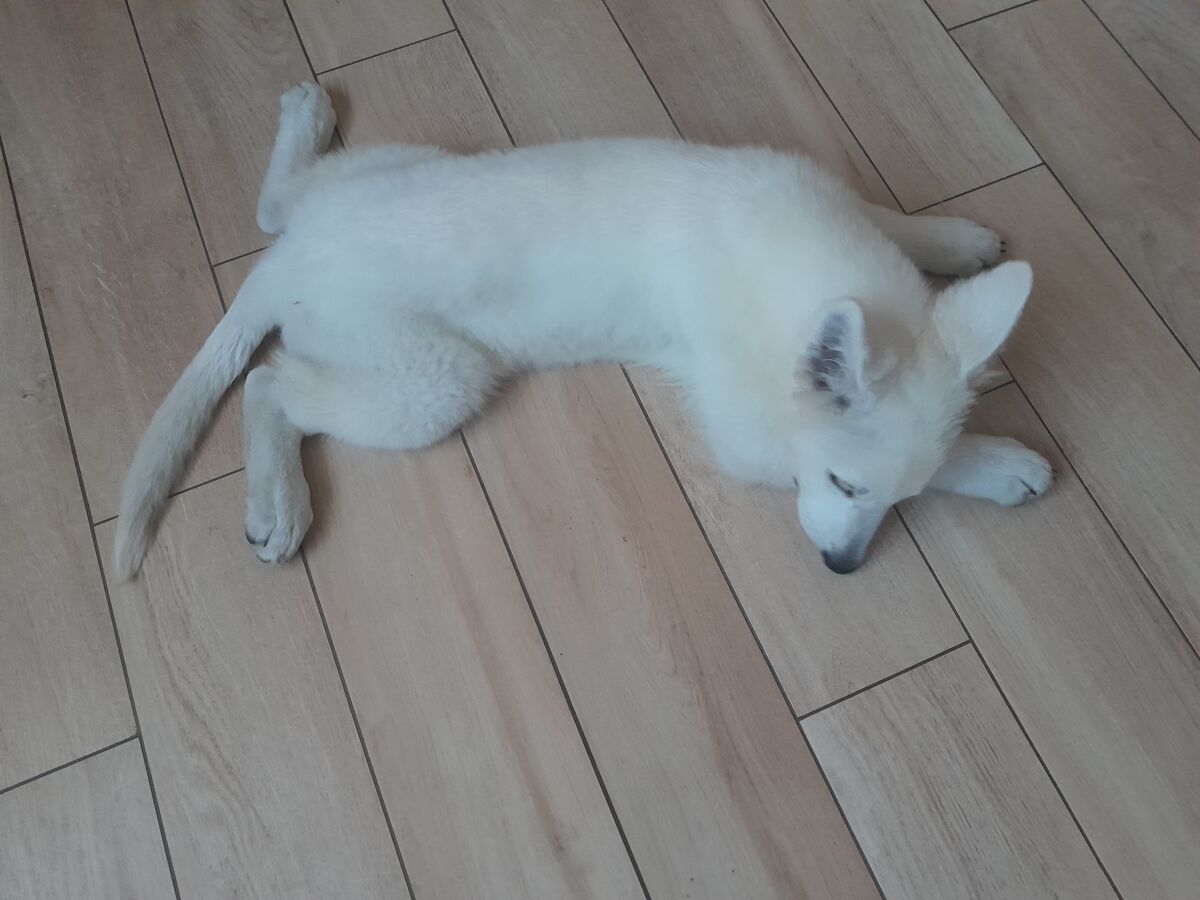 f25c8fc1-8f24-4dbf-b3ed-00c15e154119