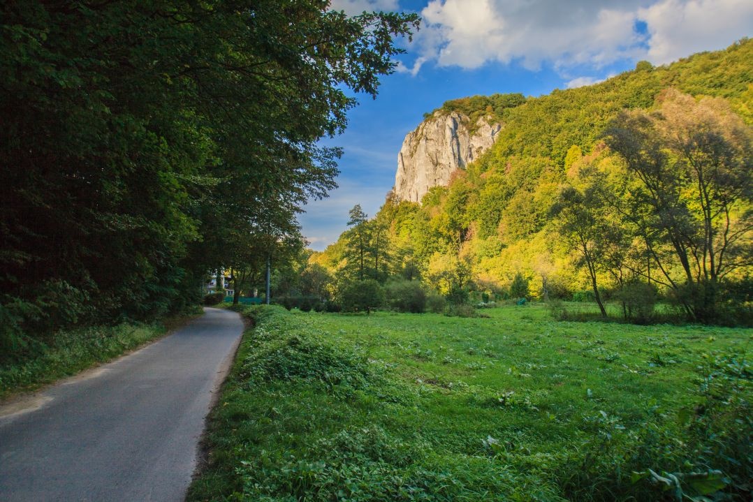 ec17c2ef-4ebf-41ed-b2c8-819f44909769