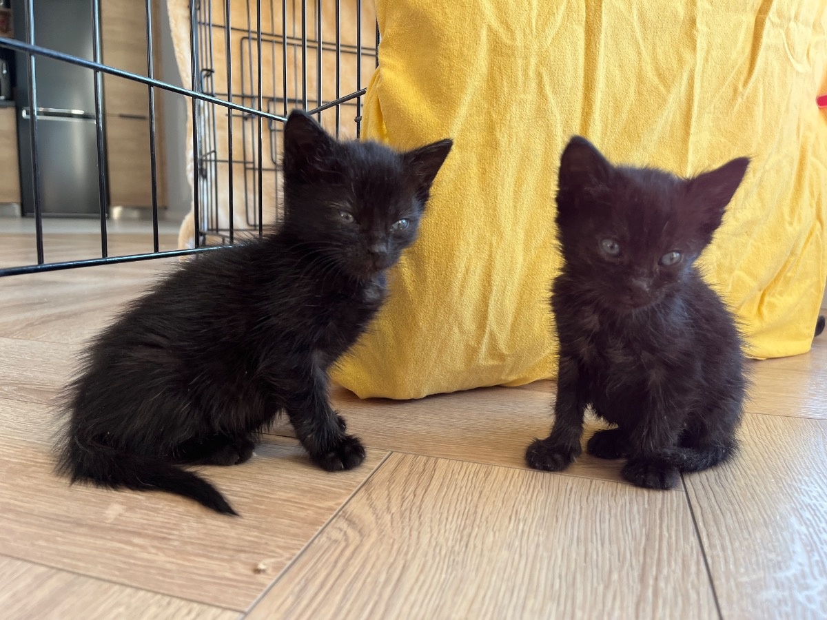 672c2abf-767b-4f4f-8411-f13c32ebe6b7