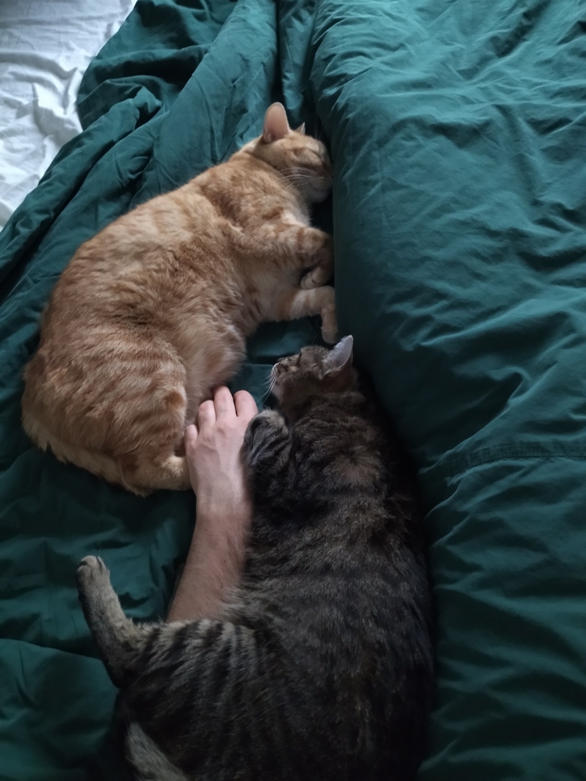 6f1ce6fb-a1ed-4a35-a6e0-4cdc5531b29e