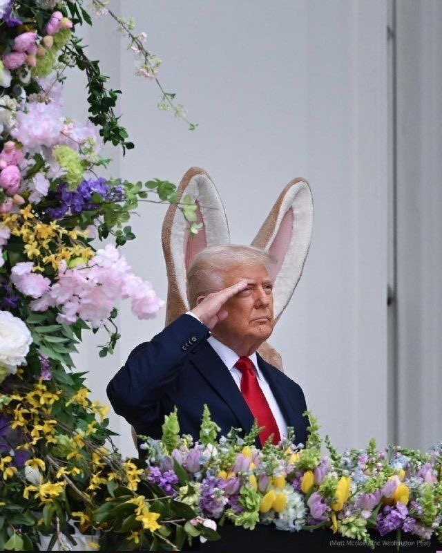 0b3ca973-88c0-4550-85df-e828d02315db