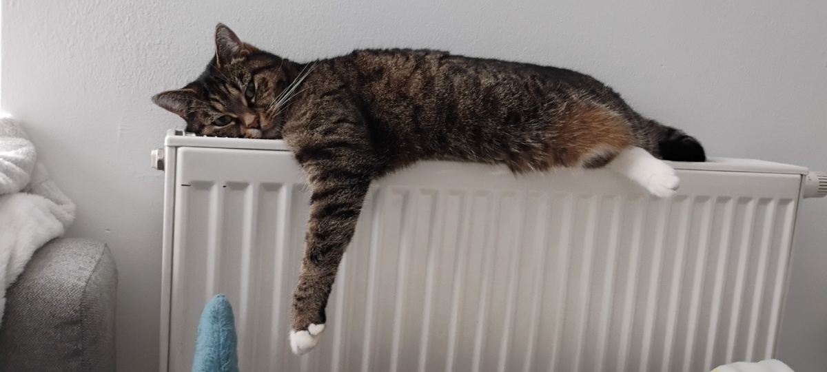 af853285-581e-4d10-b247-d27871157dc0