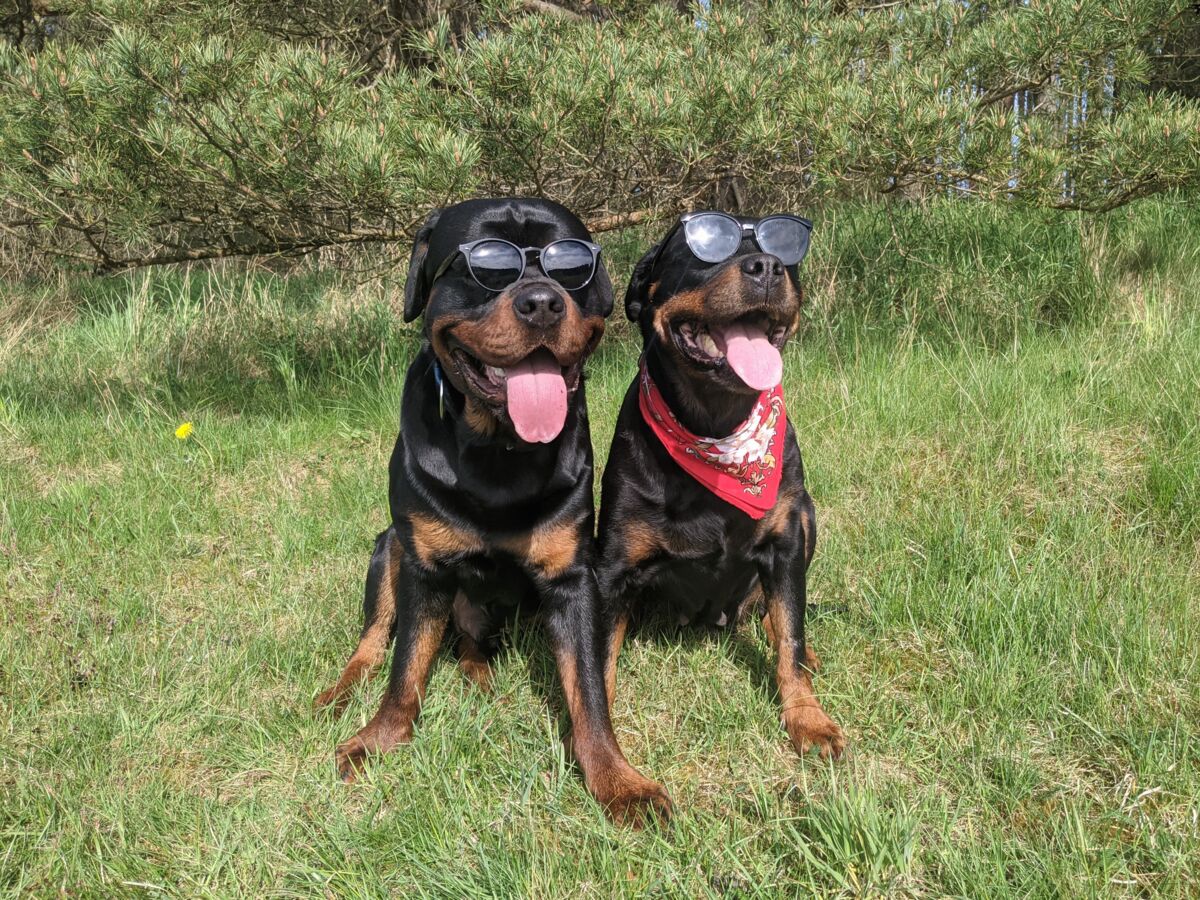 3a2f6fe3-5f3d-4242-8fdd-01311846f826