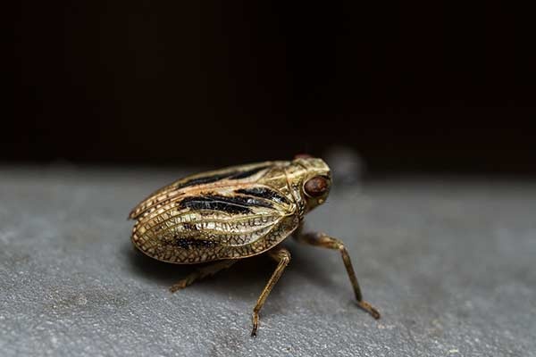 29d10cc6-5cae-406c-9d6b-2da5501692ce