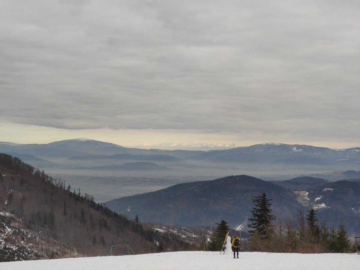 5d02a803-b997-457c-be76-b74a135a9809