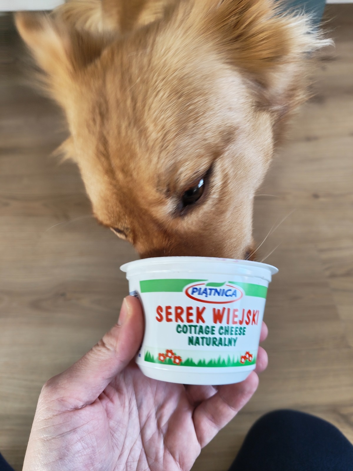 caa52af0-048c-49bf-94d0-4e73a45e3137