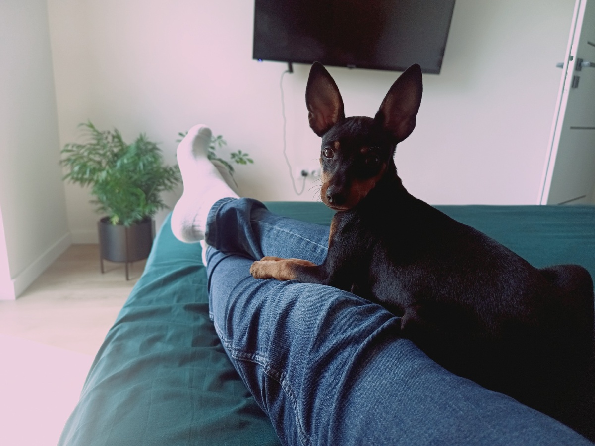 63997864-6d18-41b8-b7ab-46aaa8620987