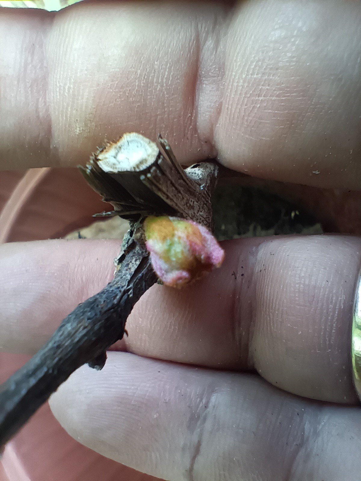 7c2de65a-fbbc-4026-bd82-f08c212493bf