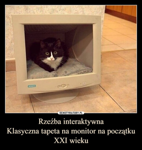 283e4798-37be-41be-9634-748530403381