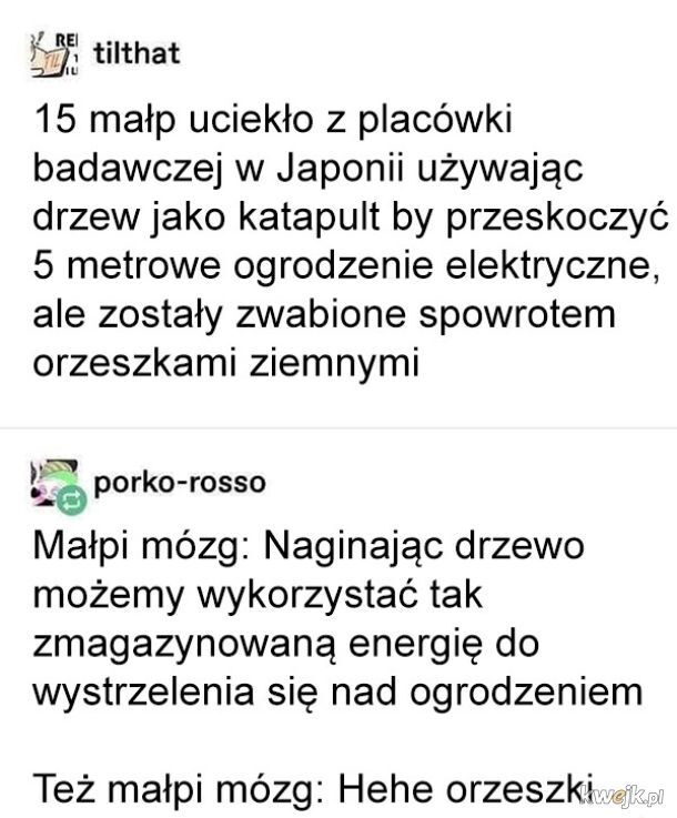 9f9deb10-3403-47fd-934b-be65ed42a670