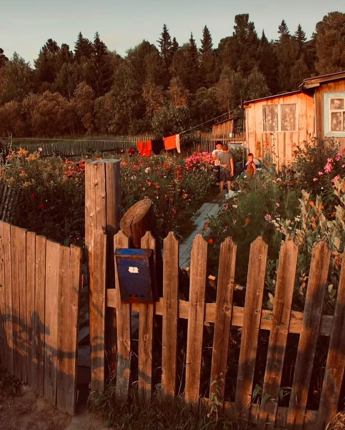 e103b7ac-ae32-4d7f-b97e-f701f6f3140c