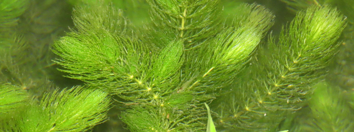 335c1c57-f22b-48bd-8041-3633622fab89