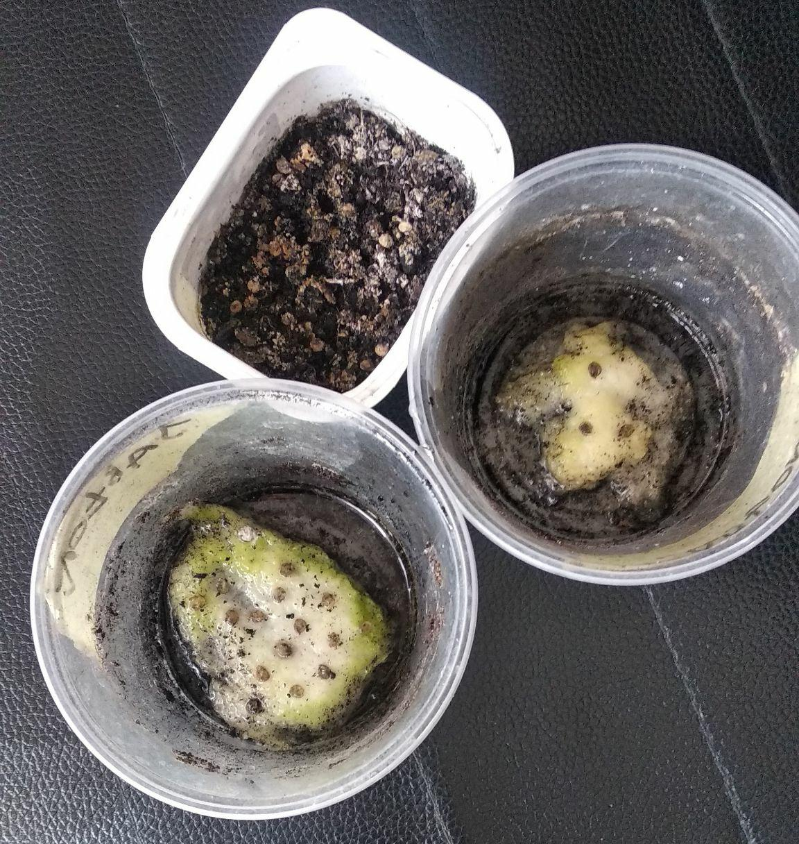 ffc2c1b7-de67-4887-9355-d5a011e3a39e