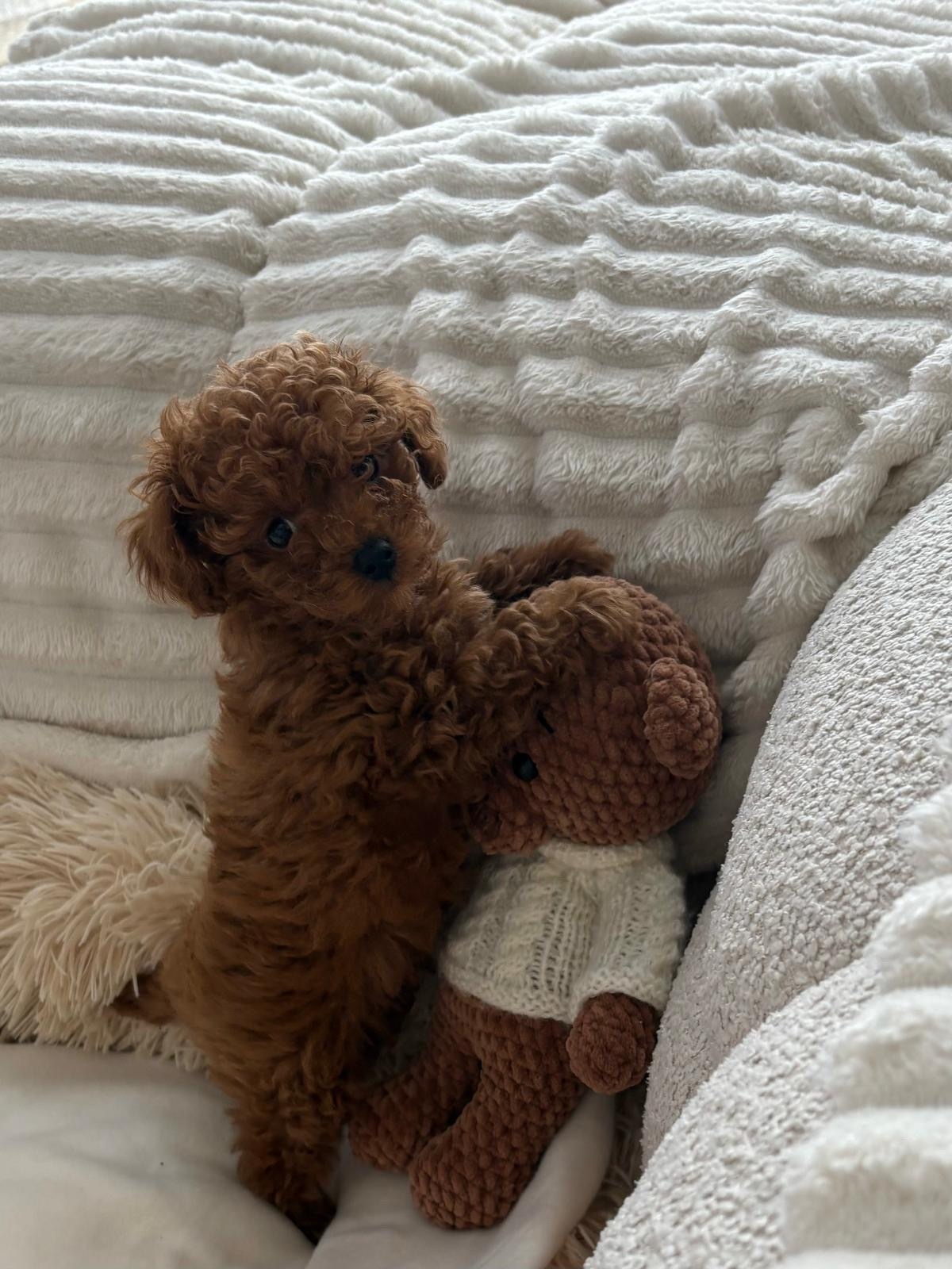 fd13307e-05ff-4632-9200-6f0e613d366d