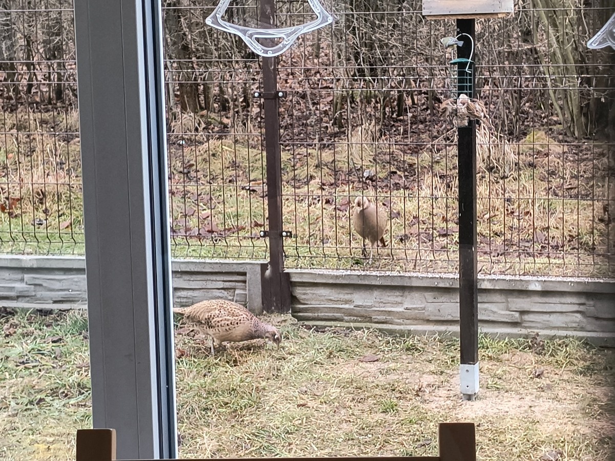 8c6a823f-c9aa-4227-8bc1-bf952c0d83ed