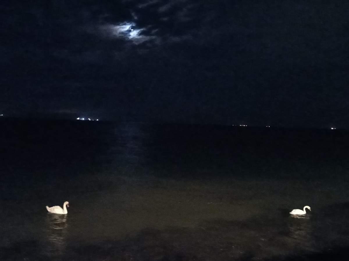 a754f922-f49c-4502-b0ff-d8c74d789dfe