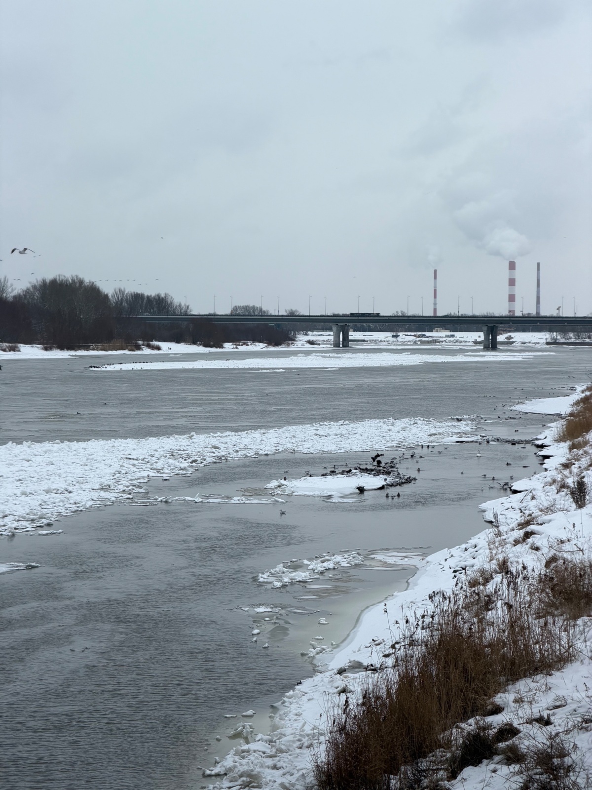 bedc80ac-74df-433f-be02-13b7d6f8c227