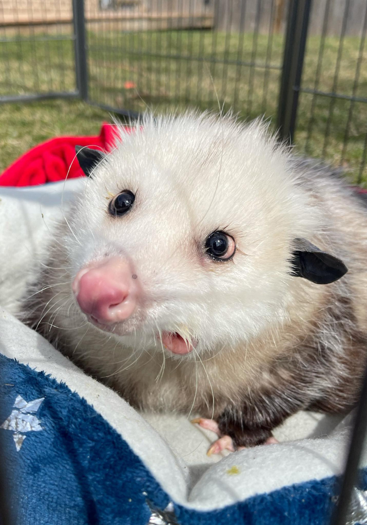 e015579e-67b8-4ba9-8dff-52feefffa8d7