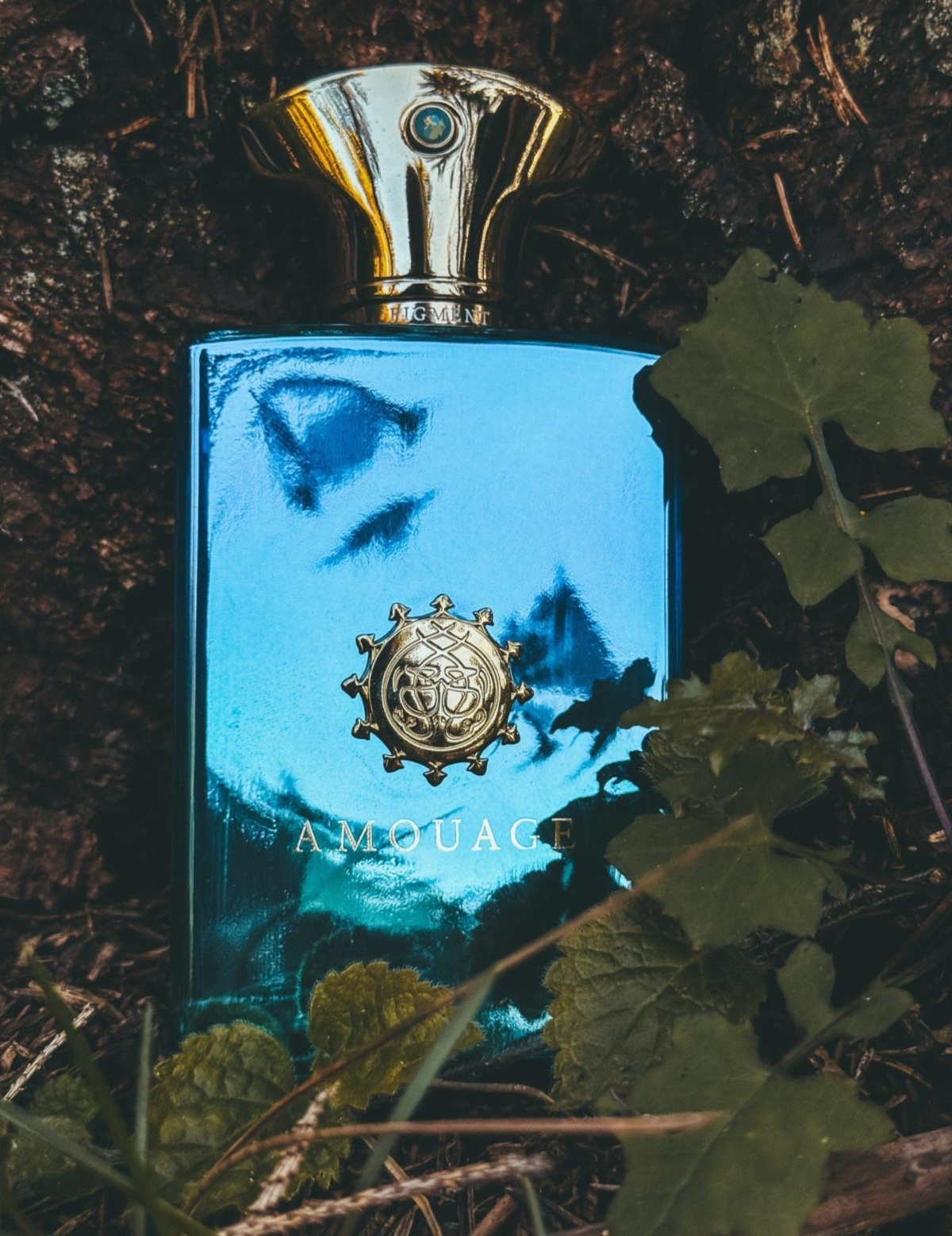 9ed295a3-8d24-4bb8-8e2b-de644a8ab7cb