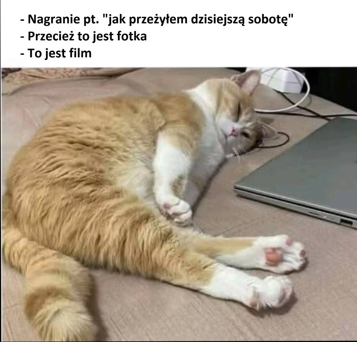 222b0910-5a77-4265-942d-db4096e3aeda