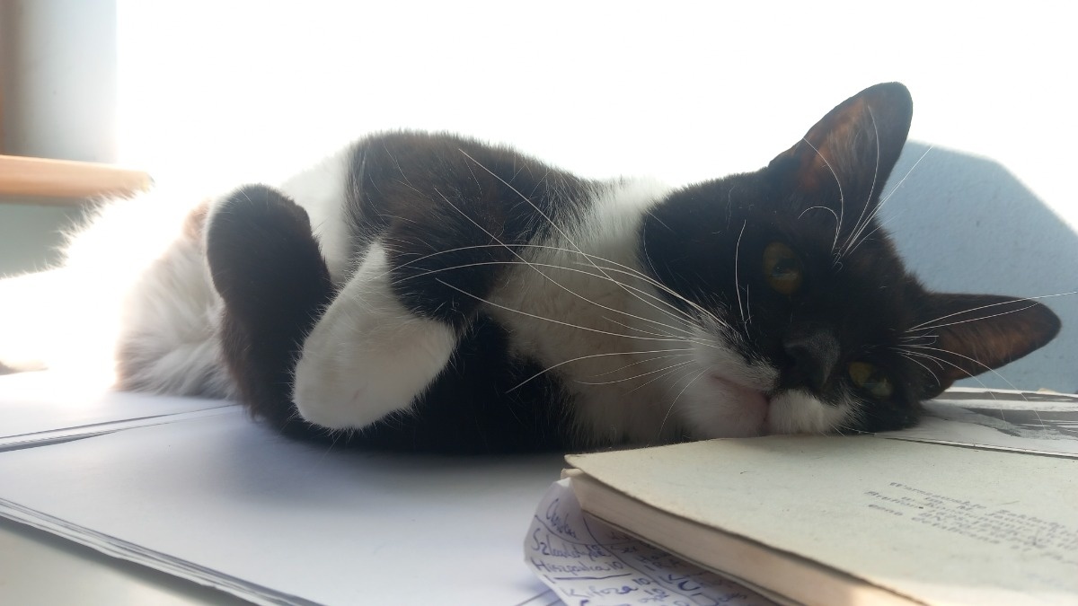 f2efbdea-b372-4c10-b547-93a0b07701d4