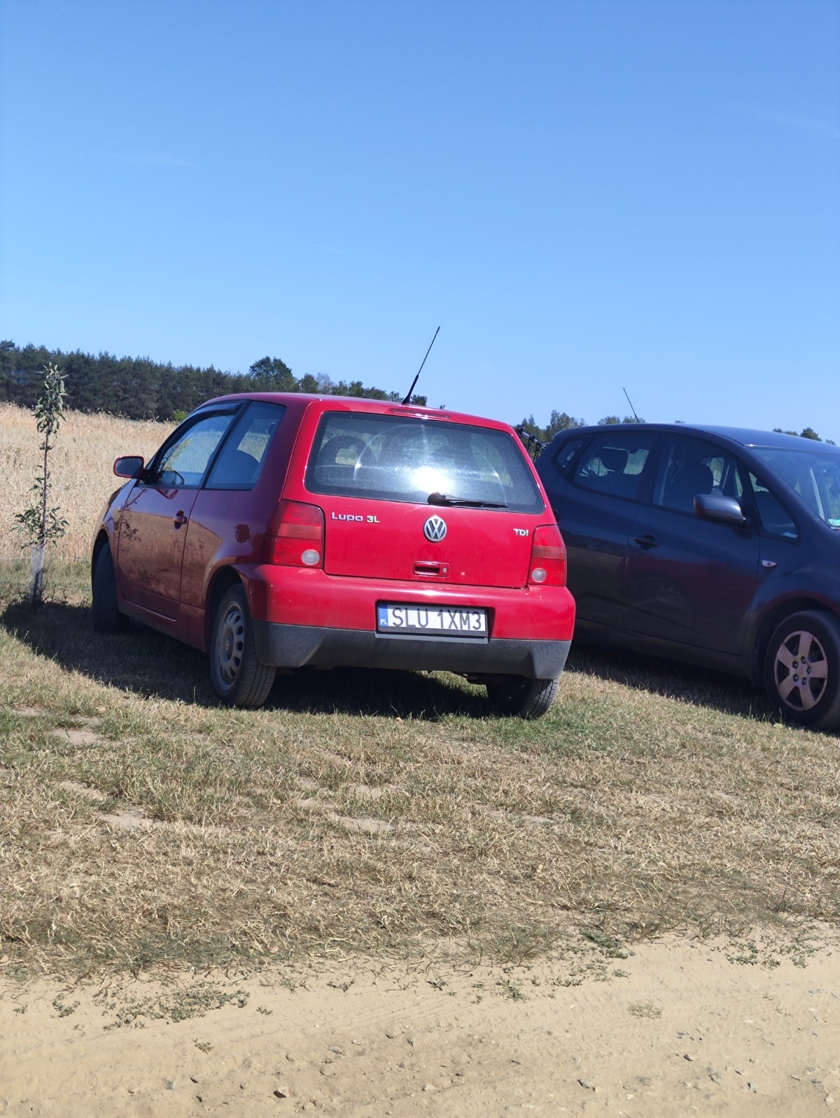 a6c29c81-38d4-43c4-b8e8-f8acd22e00f6