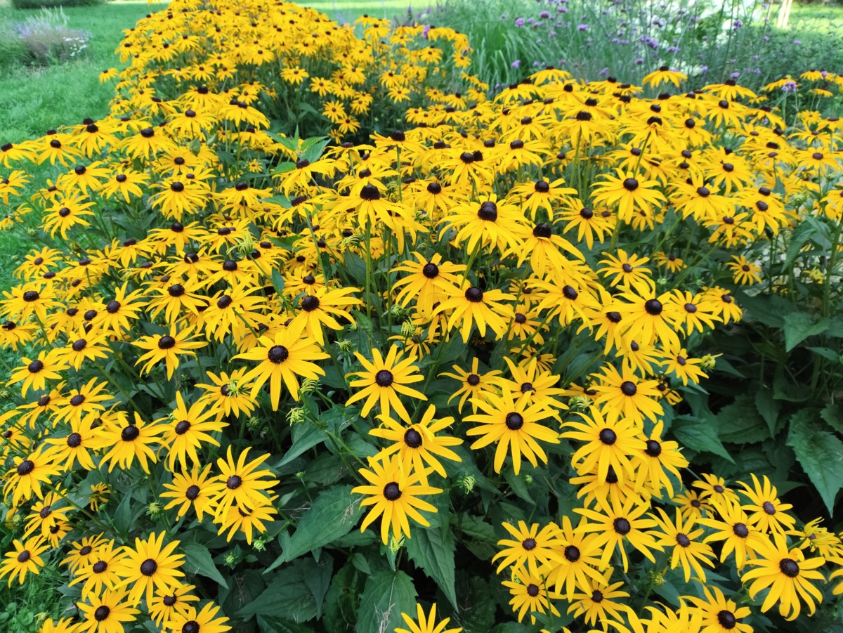 04a10012-a216-4766-af50-d45e3edd36a3