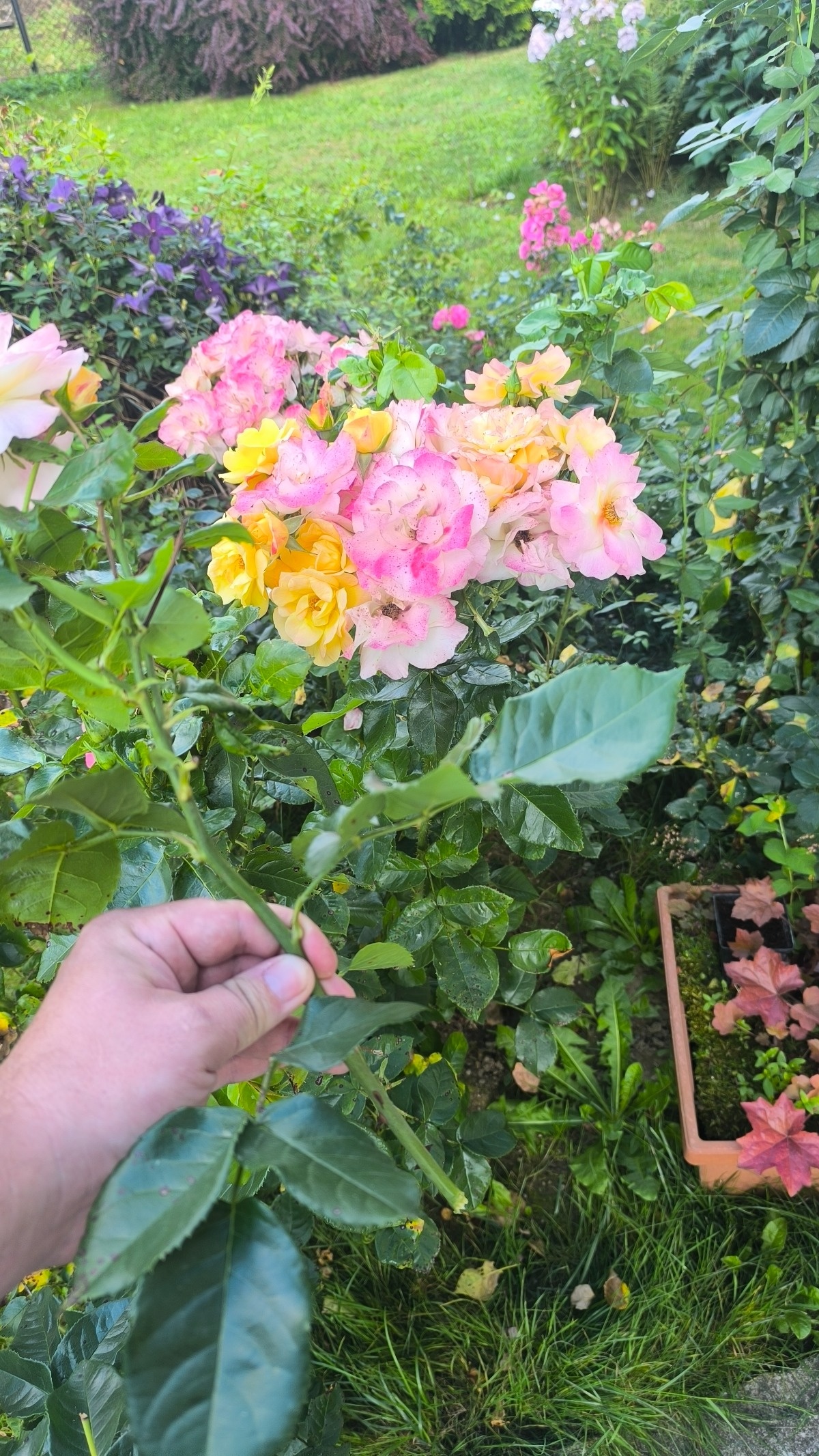 8b5ea102-6dd1-413b-b0d7-157749d87706