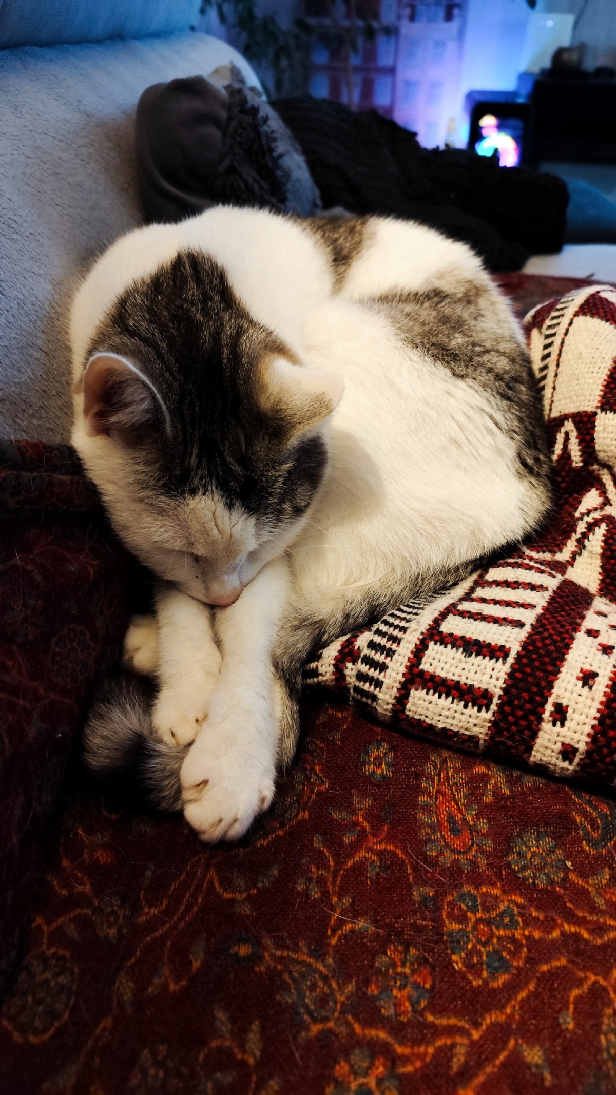 59e1f0e9-f19c-44f3-a360-36b7e31e0734