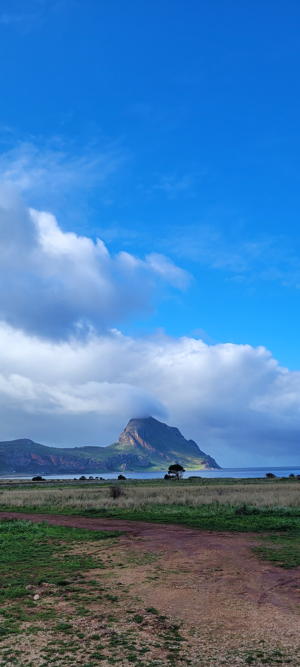 6907d645-343a-478f-9ac7-578652320b03