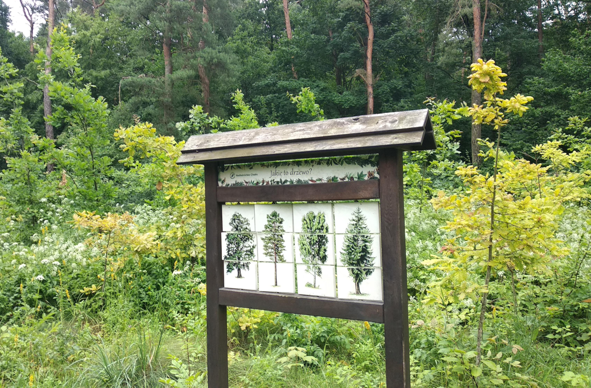 225c884e-3da9-433a-9efd-4d6bda8719a1