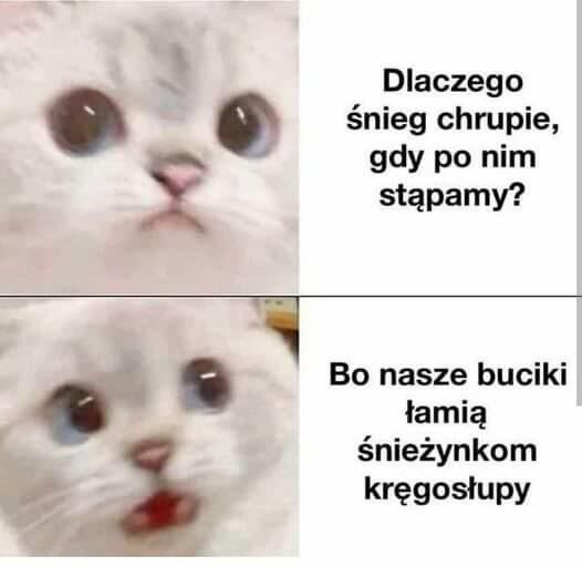 0fdc8033-c364-4fc0-8bee-0f9b42399fbd